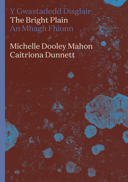 The Bright Plain by Michelle Dooley Mahon, Caitriona Dunnett, 9781914595615