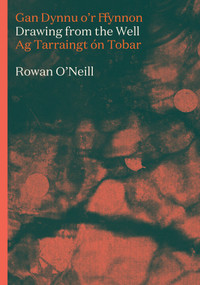 Drawing from the Well by Rowan O'Neill, 9781914595646