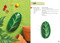 All-New Twenty to Make: Rock Art by Denise Scicluna, 9781800921764