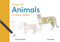 Draw 30: Animals (in easy steps) by Eva Dutton, Susie Hodge, Jonathan Newey, 9781800921832