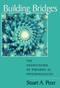 Building Bridges (The Negotiation of Paradox in Psychoanalysis) by Stuart A. Pizer, 9780881631708