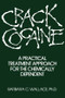 Crack Cocaine (A Practical Treatment Approach For The Chemically Dependent) by Barbara C. Wallace, 9780876306048
