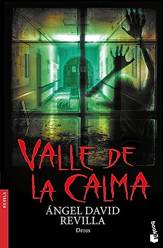 Valle de la calma (Spanish Edition) by Ángel David Revilla (Dross), 9786073901871