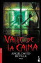 Valle de la calma (Spanish Edition) by Ángel David Revilla (Dross), 9786073901871