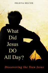 What Did Jesus DO All Day? (Discovering the Teen Jesus) by Felicia Silcox, 9780819227935