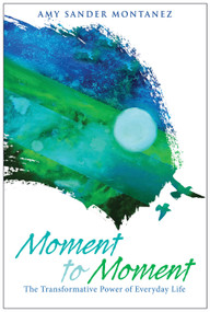 Moment to Moment (The Transformative Power of Everyday Life) by Amy Sander Montanez, 9780819228796