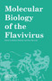 Molecular Biology of the Flavivirus by Matthias Kalitzky, Peter Borowski, 9781904933229