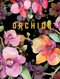 Orchids - 9781921073670 by New Holland Publishers, 9781921073670