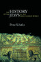 The History of the Jews in the Greco-Roman World (The Jews of Palestine from Alexander the Great to the Arab Conquest) - 9780415305877 by Peter Schäfer, 9780415305877