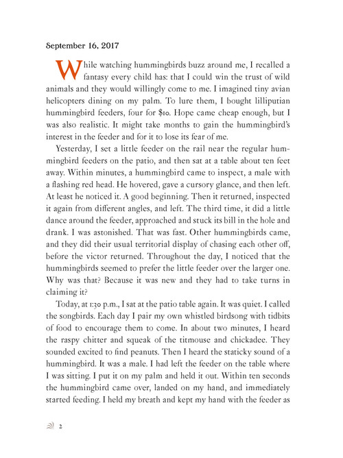 The Backyard Bird Chronicles by Amy Tan, David Allen Sibley, 9780593536131