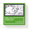 Moody Cats Magic Velvet Coloring Set by Brass Monkey, Galison, 9780735381223