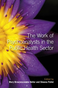 The Work of Psychoanalysts in the Public Health Sector - 9780415484299 by Mary Brownescombe Heller, Sheena Pollet, 9780415484299