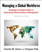 Managing a Global Workforce (Challenges and Opportunities in International Human Resource Management) by Charles Vance, Yongsun Paik, 9780765638656
