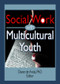 Social Work with Multicultural Youth by Diane Deanda, 9780789021908