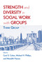 Strength and Diversity in Social Work with Groups (Think Group) by Carol S. Cohen, Michael H Phillips, Meredith Hanson, 9780789037916