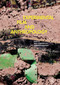 Experimental Film and Anthropology by Arnd Schneider, Caterina Pasqualino, 9780857854438