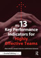The 13 Key Performance Indicators for Highly Effective Teams by Allam Ahmed, George Siantonas, Nicholas Siantonas, 9781906093075