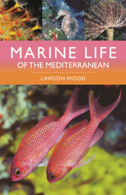 Marine Life of the Mediterranean by Lawson Wood, 9781399411707