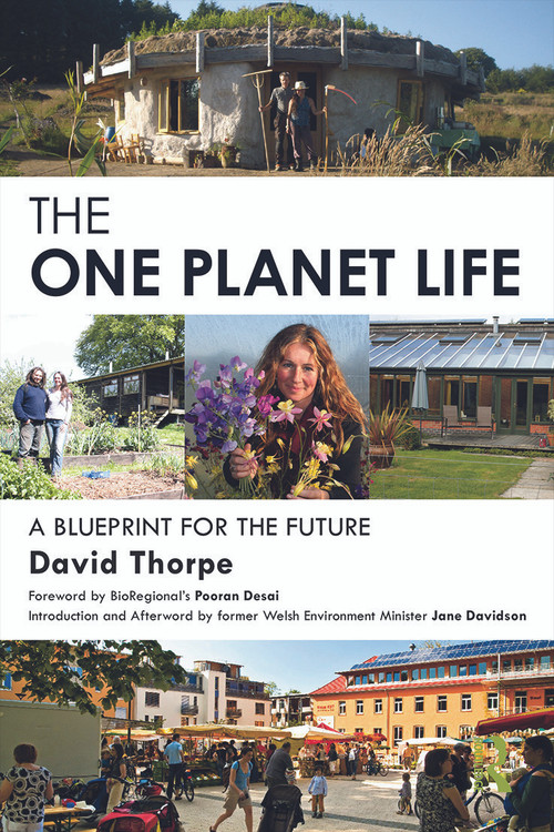 The 'One Planet' Life (A Blueprint for Low Impact Development) by David Thorpe, 9780415738552