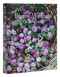 Bunny Williams: Life in the Garden by Bunny Williams, Annie Schlechter, 9780847899692