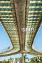 Israel - 9781138887190 by Ilan Pappé, 9781138887190
