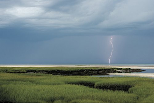 On Cape Cod Greeting Cards by Don Krohn, 9781567925708
