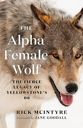 The Alpha Female Wolf (The Fierce Legacy of Yellowstone's 06) - 9781778401770 by Rick McIntyre, Jane Goodall, 9781778401770