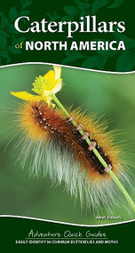 Caterpillars of North America (Easily Identify 90 Common Butterflies and Moths) by Jaret C. Daniels, 9781647554453