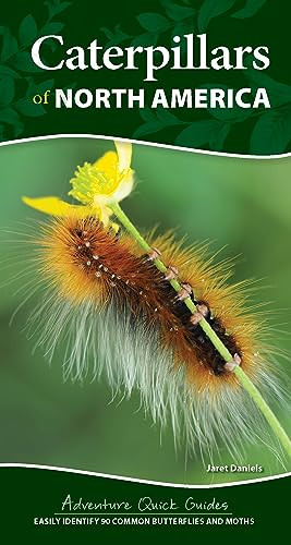 Caterpillars of North America (Easily Identify 90 Common Butterflies and Moths) by Jaret C. Daniels, 9781647554453