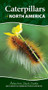 Caterpillars of North America (Easily Identify 90 Common Butterflies and Moths) by Jaret C. Daniels, 9781647554453