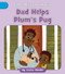 Dad Helps Plum's Pug by Cecilia Minden, Nakula Patel, 9781668937266