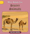 Desert Animals - 9781668937570 by Katie Buckley, 9781668937570