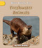 Freshwater Animals by Katie Buckley, 9781668937587