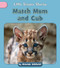 Match Mom and Cub by Amanda Gebhardt, 9781668937655