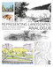 Representing Landscapes (Analogue) by Nadia Amoroso, 9781138485570
