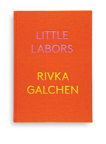 Little Labors - 9780811225588 by Rivka Galchen, 9780811225588
