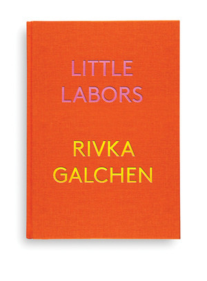Little Labors - 9780811225588 by Rivka Galchen, 9780811225588