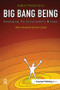 Big Bang Being (Developing the Sustainability Mindset) by Isabel Rimanoczy, Ervin Laszlo, 9781906093877