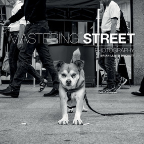Mastering Street Photography by Brian Lloyd-Duckett, 9781781452691