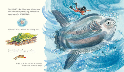 Grow: Secrets of Our DNA by Nicola Davies, Emily Sutton, 9781536234640