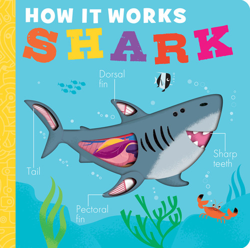 How It Works: Shark by Molly Littleboy, David Semple, 9781664351011