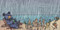 Beach Bummer (A Little Bruce Book) by Ryan T. Higgins, 9781368090247