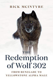 The Redemption of Wolf 302 (From Renegade to Yellowstone Alpha Male) by Rick McIntyre, 9781778400759