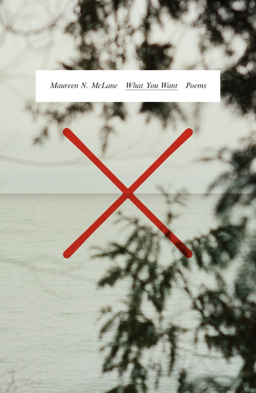 What You Want (Poems) - 9780374613969 by Maureen N. McLane, 9780374613969