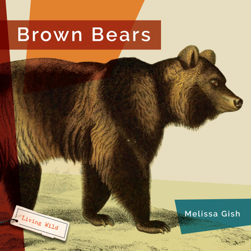 Brown Bears - 9781682773253 by Melissa Gish, 9781682773253