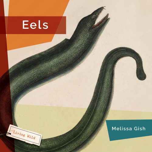 Eels - 9781682773284 by Melissa Gish, 9781682773284