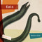 Eels - 9781682773284 by Melissa Gish, 9781682773284