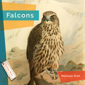 Falcons - 9781682773307 by Melissa Gish, 9781682773307