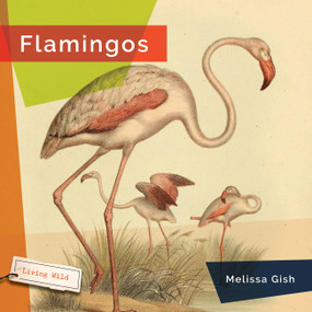 Flamingos - 9781682773314 by Melissa Gish, 9781682773314