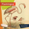 Flamingos - 9781682773314 by Melissa Gish, 9781682773314